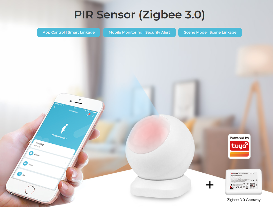 PIR1-ZB